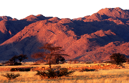 Late afternoon colours, Namib-Naukluft National Park